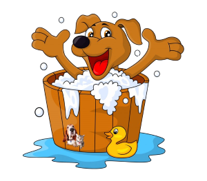 a dog in a bath tub